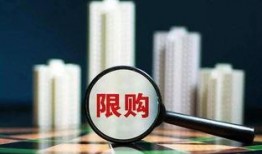 社会热点话题2025 网红大鹅,大鹅的逆袭与社交媒体的魔力