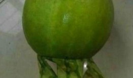 每日必吃 今日吃瓜事件,揭秘娱乐圈最新热点事件